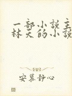 一部小说主角叫林天的小说