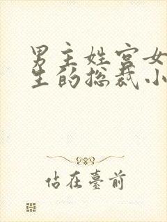 男主姓宫女主重生的总裁小说封面