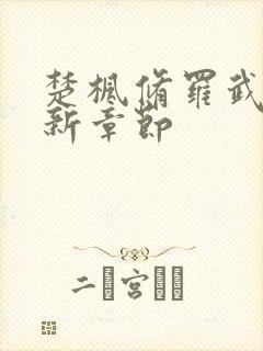 楚枫修罗武神全新章节