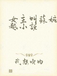 女主叫苏婉的穿越小说