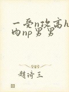 一受n攻高h全肉np男男封面