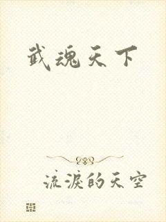 武魂天下封面