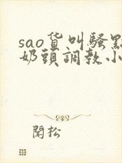 sao货叫骚点奶头调教小说