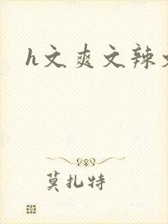 h文爽文辣文封面