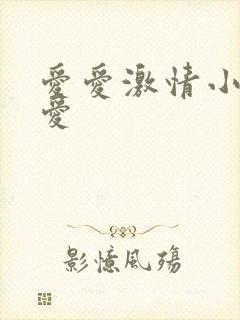 爱爱激情小说爱爱