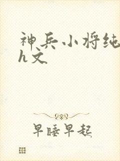 神兵小将纯肉高h文