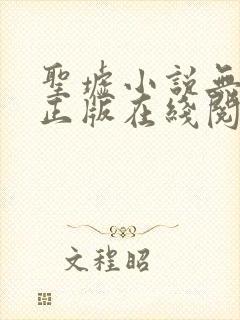 圣墟小说无删减正版在线阅读封面