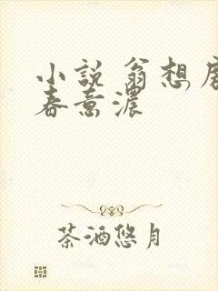 小说 翁想房中春意浓