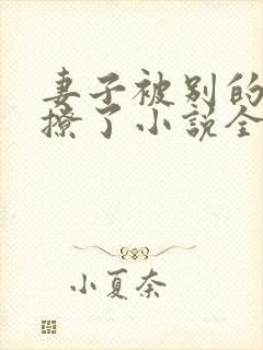 妻子被别的男人撩了小说全文阅读