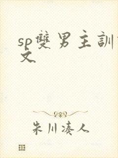 sp双男主训诫文