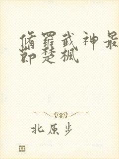 修罗武神最新章节楚枫