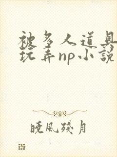 被多人道具调教玩弄np小说在线阅读封面