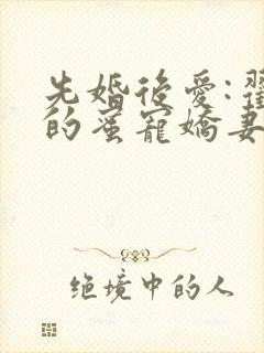 先婚后爱:翟少的蜜宠娇妻