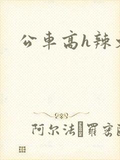 公车高h辣文封面