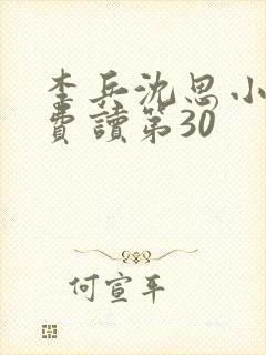 李兵沈思小说免费读第30封面