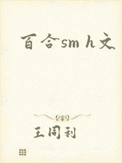 百合sm h文