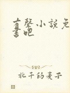 有声小说免费听书吧