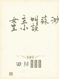 女主叫苏渺的重生小说