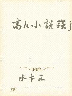 高h小说强j