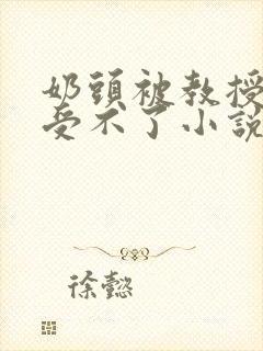 奶头被教授摸到受不了小说封面