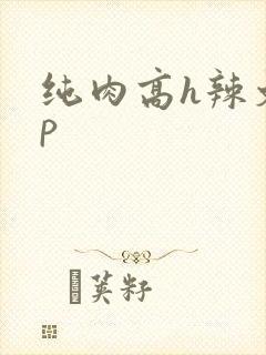 纯肉高h辣文np