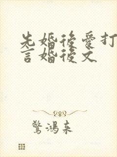 先婚后爱打脸古言婚后文