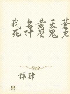 我名黄天苍天已死什么鬼免费封面