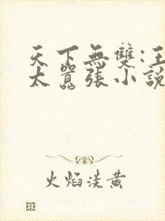 天下无双:王妃太嚣张小说阅读全部