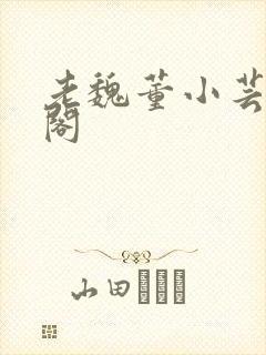 老魏董小芸趣笔阁