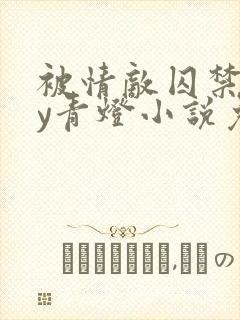 被情敌囚禁后by青灯小说免费阅读笔趣阁封面