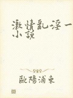 激情乱淫一家亲小说