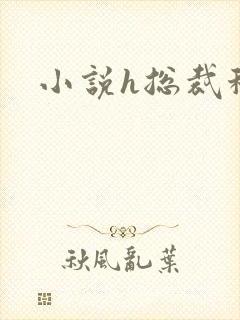 小说h总裁秘书封面