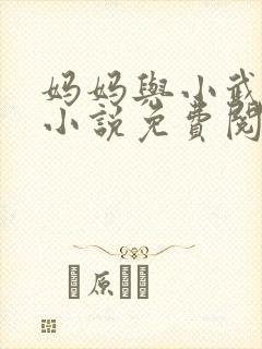 妈妈与小武原著小说免费阅读