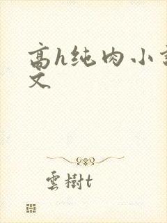 高h纯肉小说h文