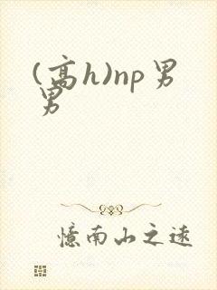 (高h)np男男