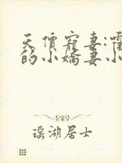 天价宠妻:霍总的小娇妻小说免费