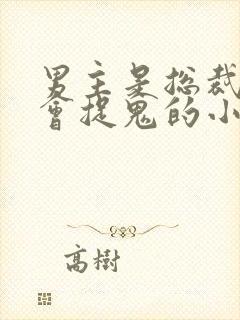 男主是总裁女主会捉鬼的小说