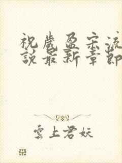 祝岁盈宋流景小说最新章节更新时间