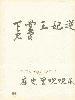 下堂王妃逆袭记免费