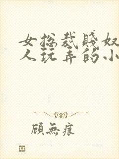 女总裁贱奴被主人玩弄的小说封面