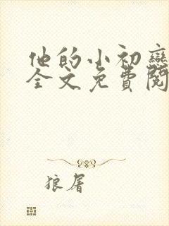 他的小初恋小说全文免费阅读