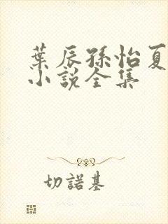 叶辰孙怡夏若雪小说全集