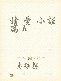 情 爱 小说 高 h