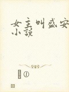 女主叫盛安宁的小说