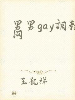 男男gay调教网