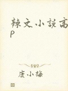辣文小说高hnp