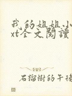 我的姐姐小说txt全文阅读