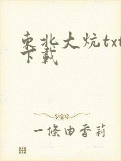 东北大炕txt下载