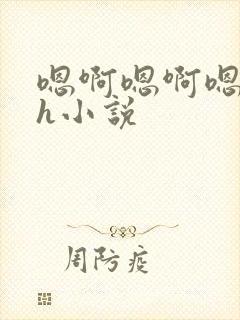 嗯啊嗯啊嗯啊高h小说