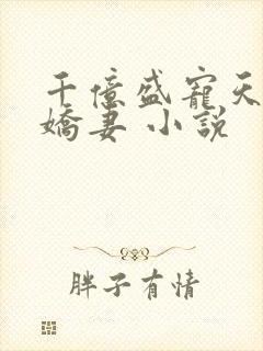千亿盛宠天价小娇妻 小说